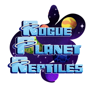 Website PFP Website PFP